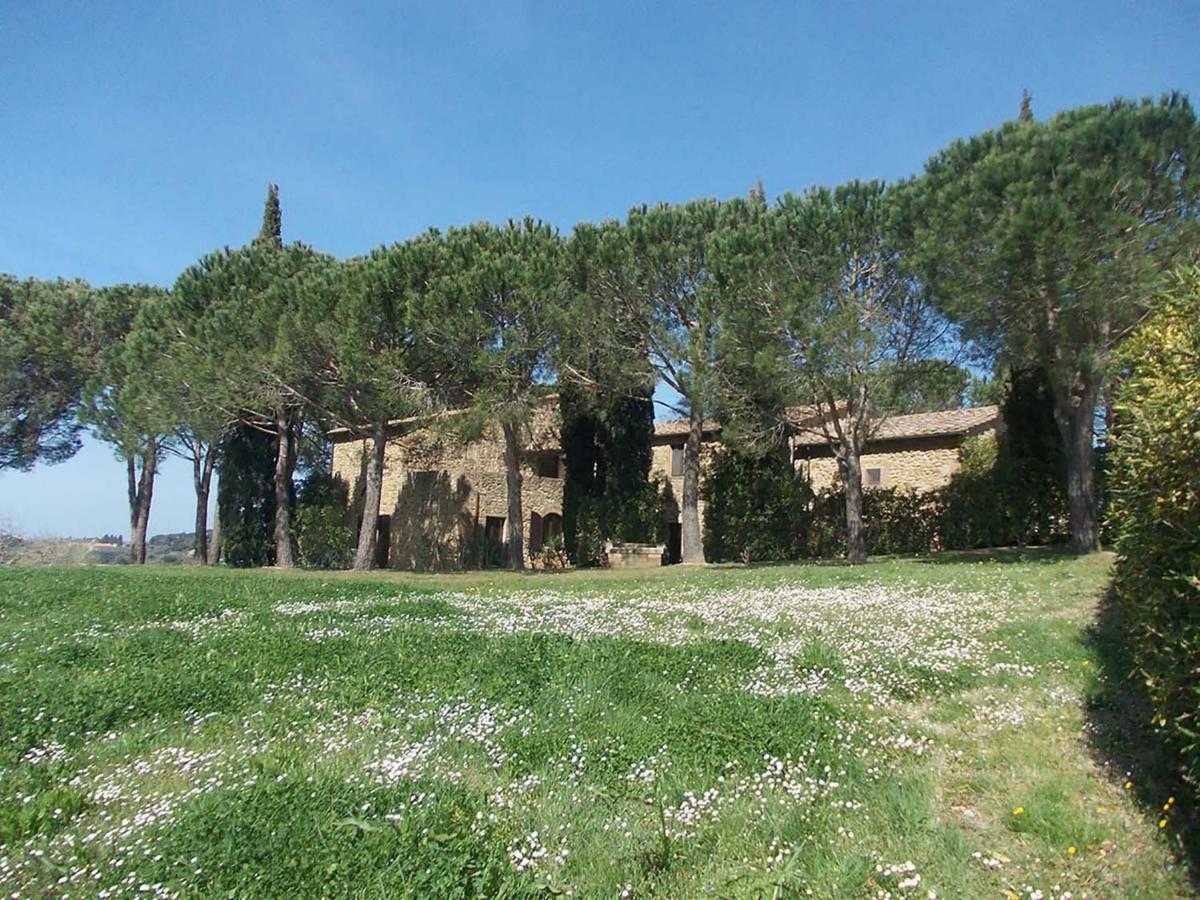 Casalevecchio Apartman Casale Marittimo Kültér fotó